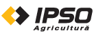 ipso ipso