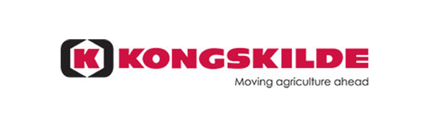 kong kong