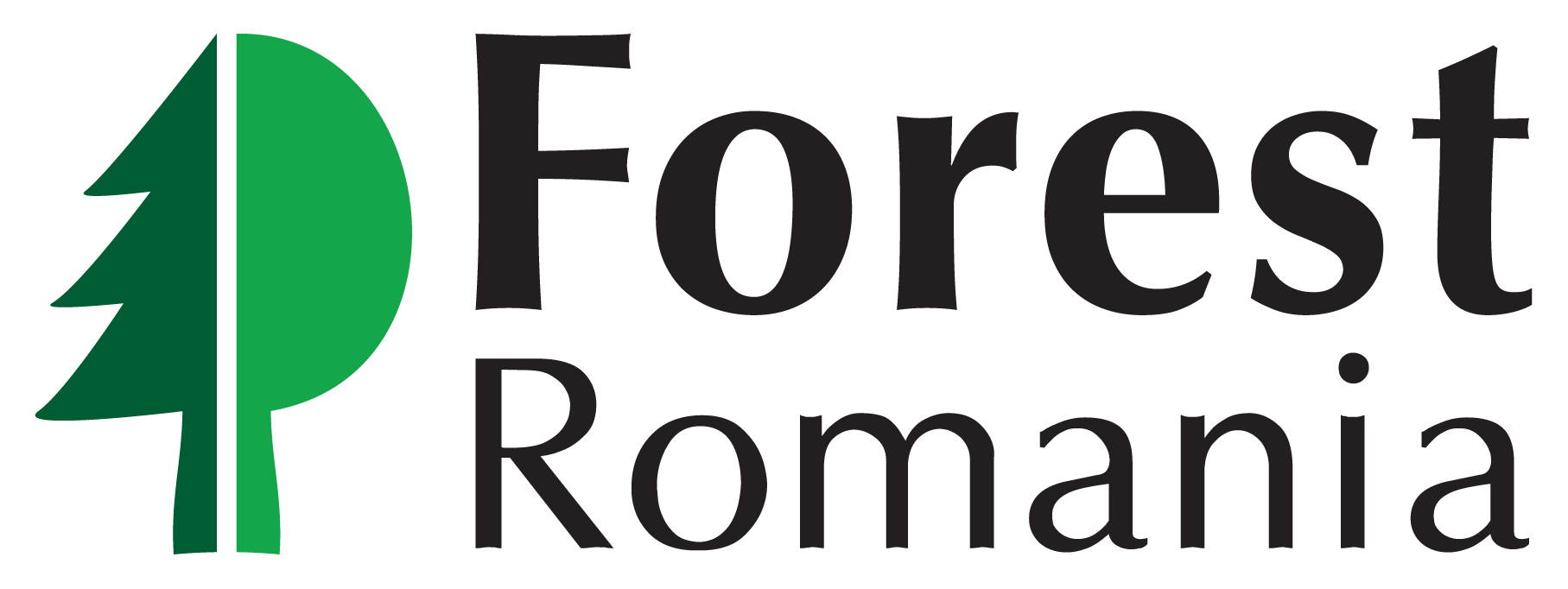 Forest_Romania